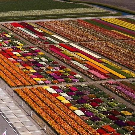 Appartement-gratis Parkeren -bij En In Het Centrum Appartement *