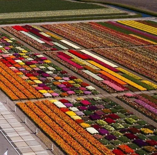 Appartement-gratis Parkeren -bij En In Het Centrum شقة *